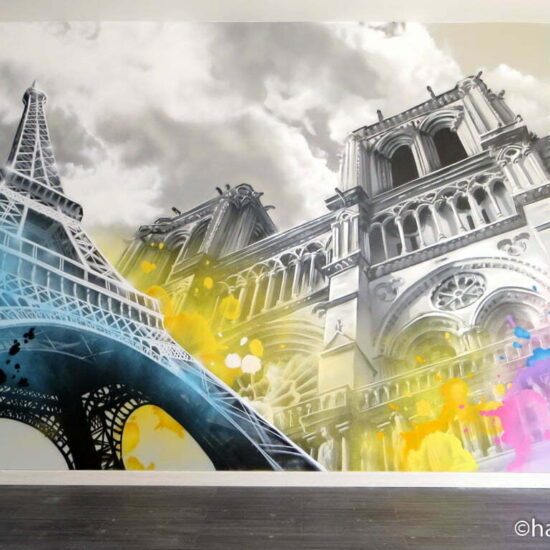 fresque murale graffiti salon tour eiffel notre dame peinture noir blanc couleur