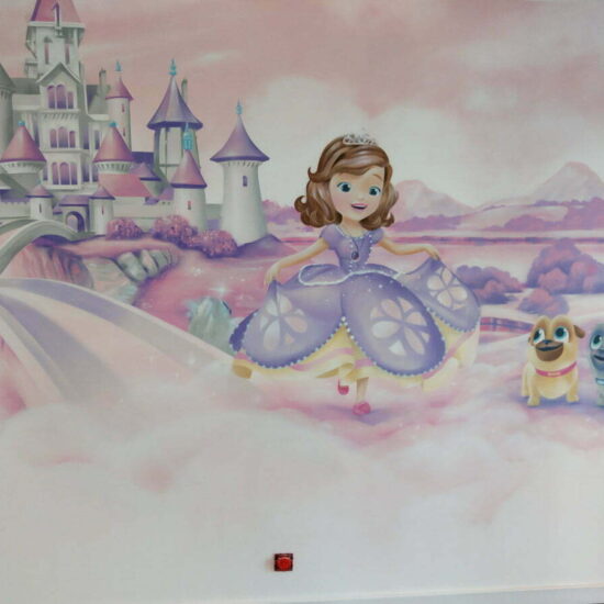 fresque fille chambre princesse 4