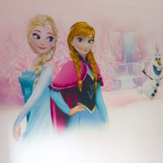 fresque fille chambre princesse 6
