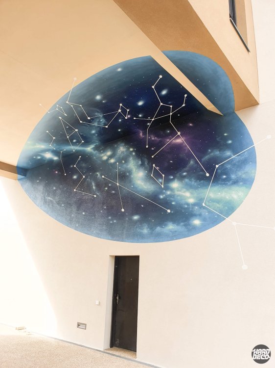 Vue d'ensemble intérieure de l'anamorphose ciel étoilé constellations sur toile, Bagneux