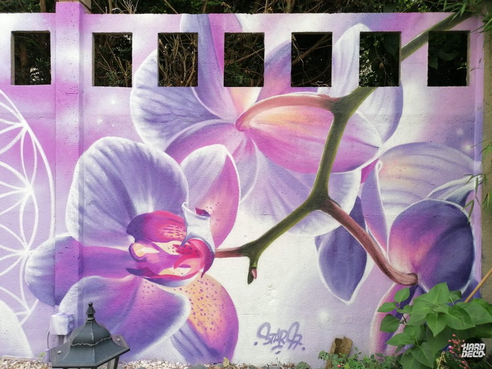 Gros plan sur orchidée phalaenopsis mauve et rose peinte à l'aérosol sur clôture de jardin