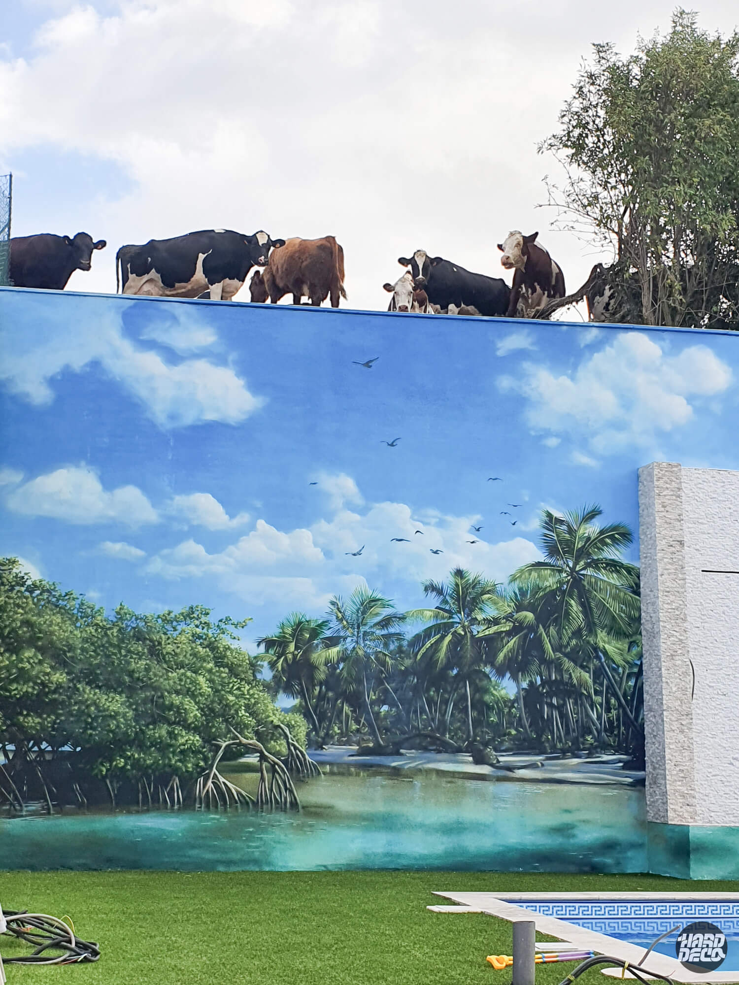 Détail fresque murale lagon turquoise, mangrove et ciel bleu, vaches réelles en arrière-plan sur le mur